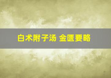 白术附子汤 金匮要略